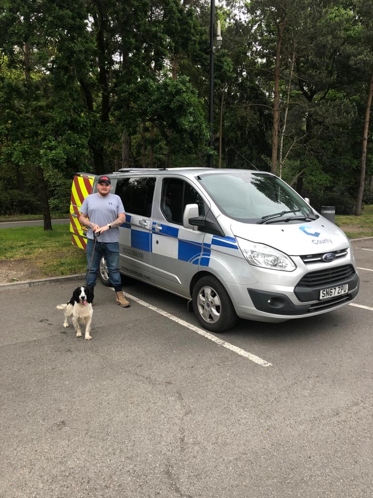 search and detection dogs uk