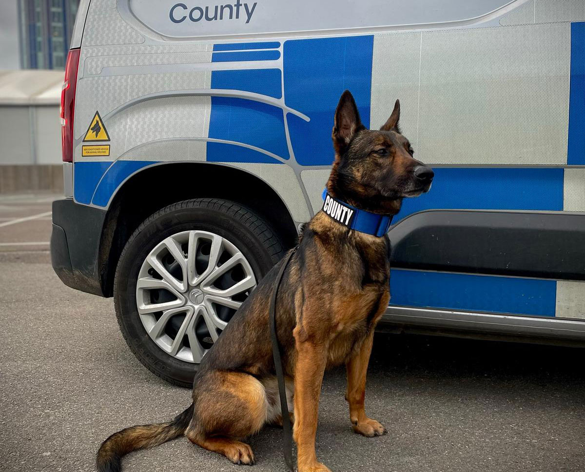 County Security | Security Dogs & Handlers | Security Dog Units